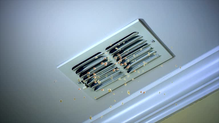 Best HVAC Maintenance and Cleaning  in Gray, TN
