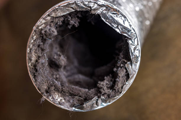 Best HVAC Duct Inspection Services  in Gray, TN