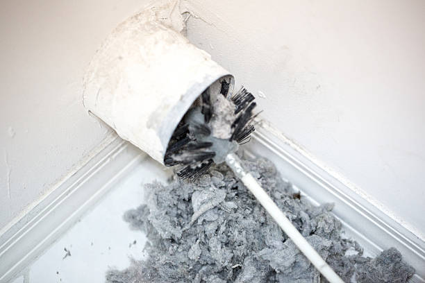 Best Duct Cleaning for Offices  in Gray, TN